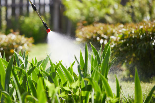 Tamper-Resistant Bait Stations for Rodents in Oak Grove