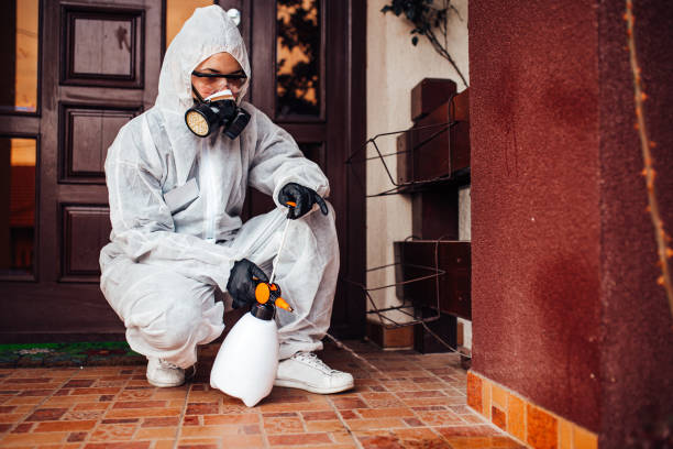 Attic and Crawl Space Rodent Treatment in Oak Grove